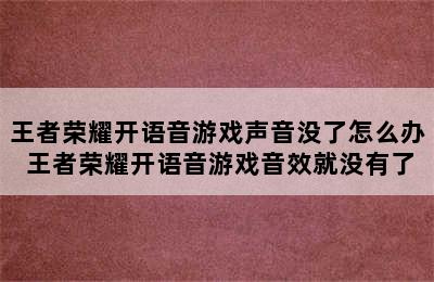 王者荣耀开语音游戏声音没了怎么办 王者荣耀开语音游戏音效就没有了